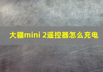 大疆mini 2遥控器怎么充电